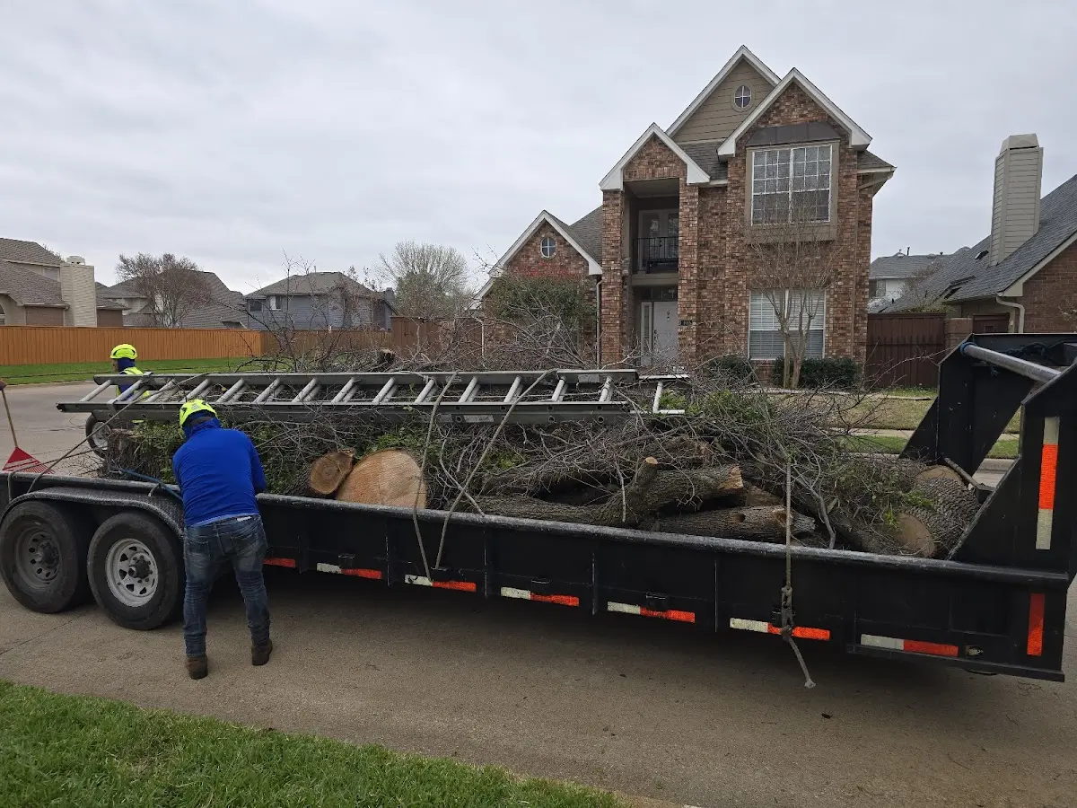 Expert Lot Clearing with proper safety equipment in Severance